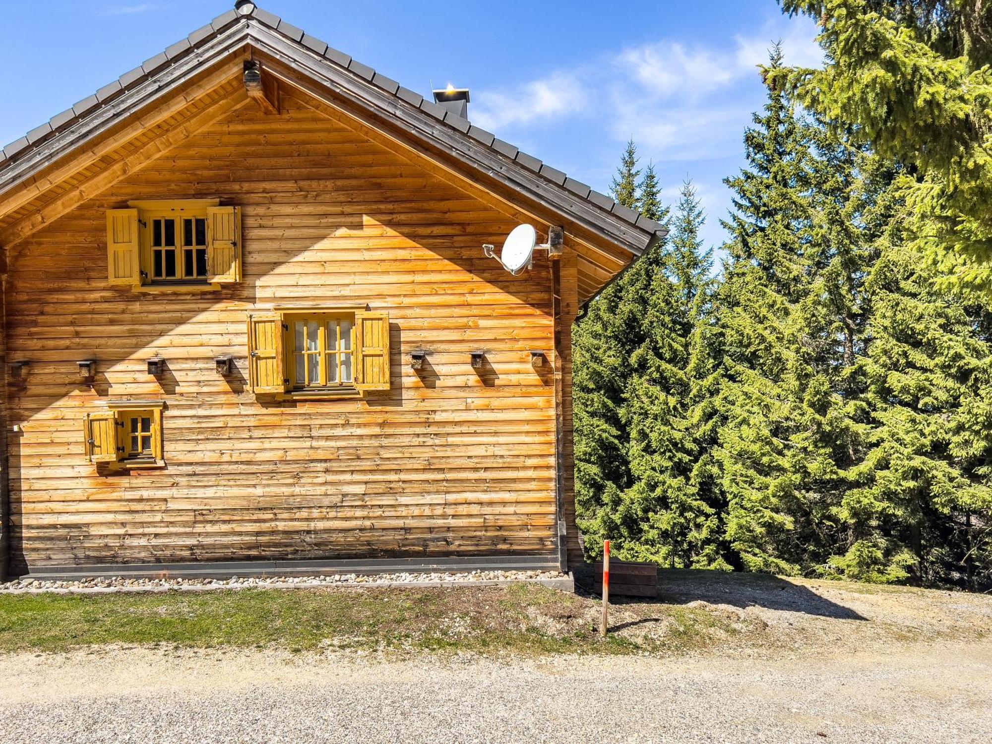 1A Chalet Enzianhuette - Ski Fahren Und Indoor Sauna Villa Elsenbrunn Exterior foto