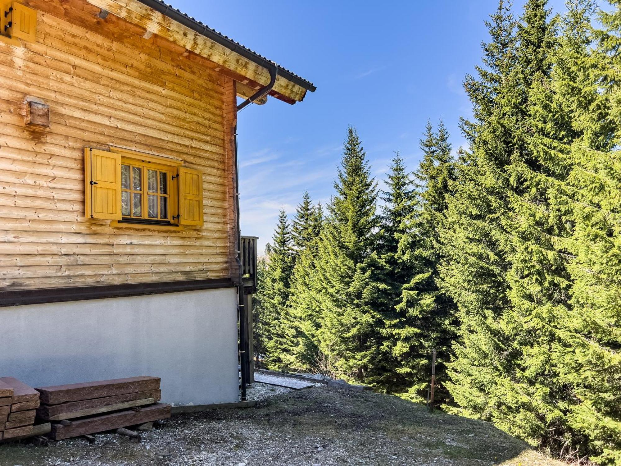 1A Chalet Enzianhuette - Ski Fahren Und Indoor Sauna Villa Elsenbrunn Exterior foto